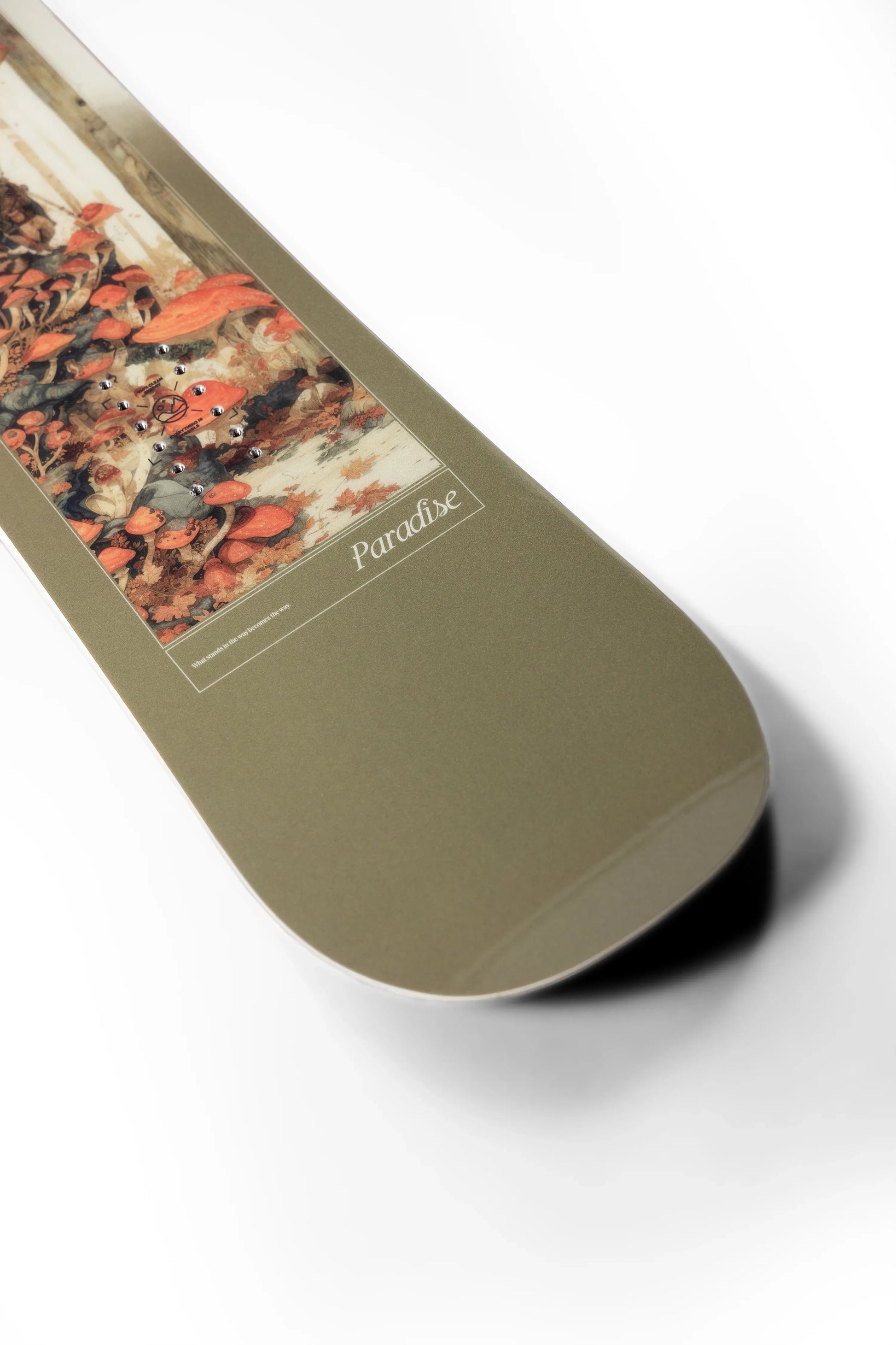 Capita Paradise Snowboard | XSports